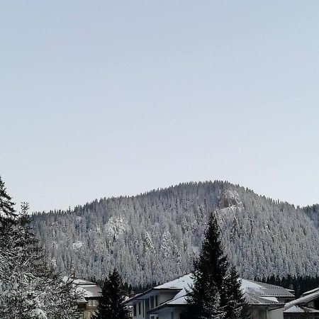 IV Apartment In The Wonderful Rhodope Mountain Smolan Zewnętrze zdjęcie