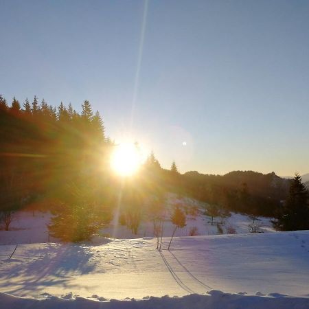 IV Apartment In The Wonderful Rhodope Mountain Smolan Zewnętrze zdjęcie