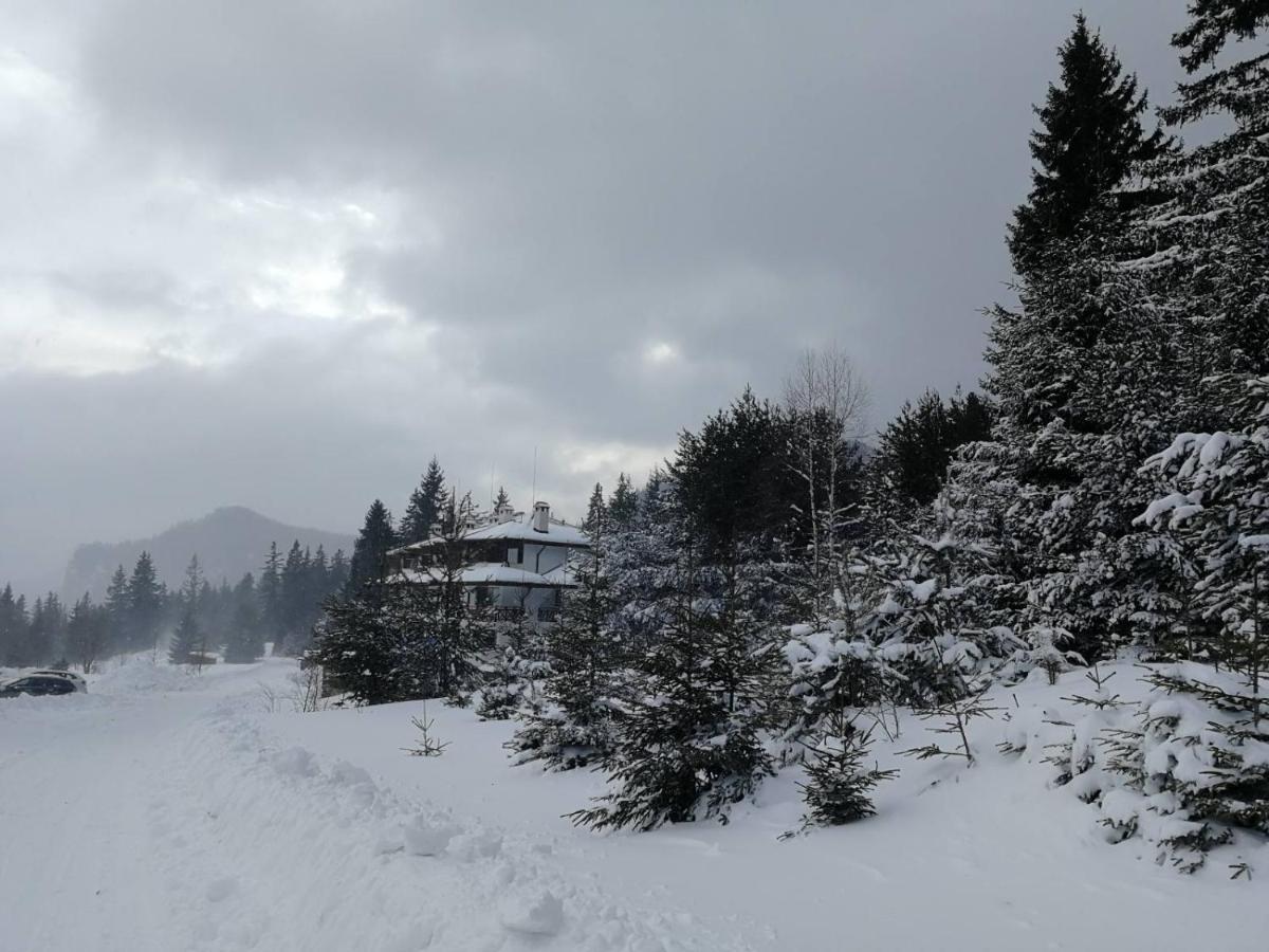 IV Apartment In The Wonderful Rhodope Mountain Smolan Zewnętrze zdjęcie