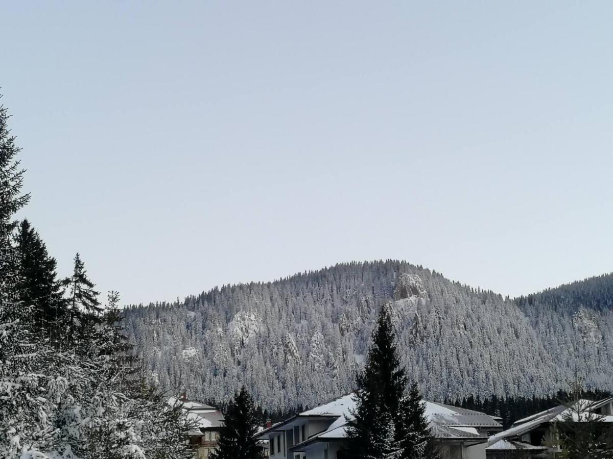 IV Apartment In The Wonderful Rhodope Mountain Smolan Zewnętrze zdjęcie