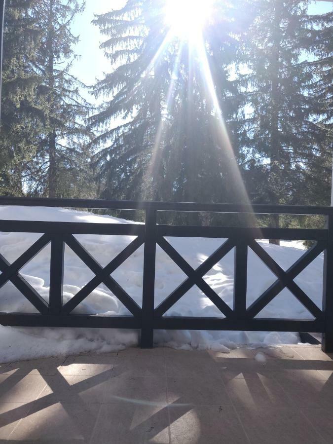 IV Apartment In The Wonderful Rhodope Mountain Smolan Zewnętrze zdjęcie